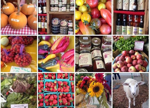 Vashon Island Farmers Market 2016