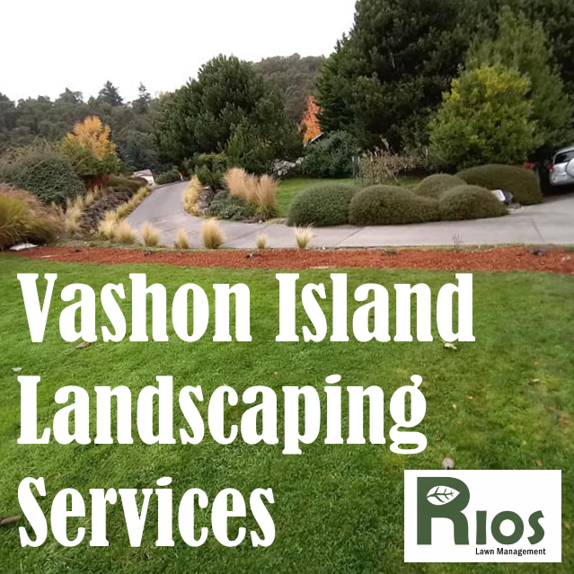 Vashon Island Landscaping Services - Trusted and Prompt